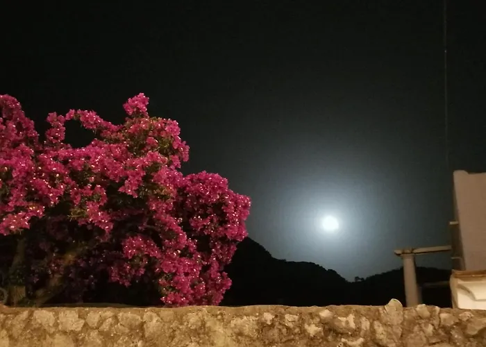 Dreaming Capri